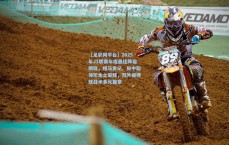 【足彩网平台】2025年J1联赛年度最佳阵容揭晓，相马勇纪、田中聪领衔本土荣耀，双外援铸就战术多元篇章