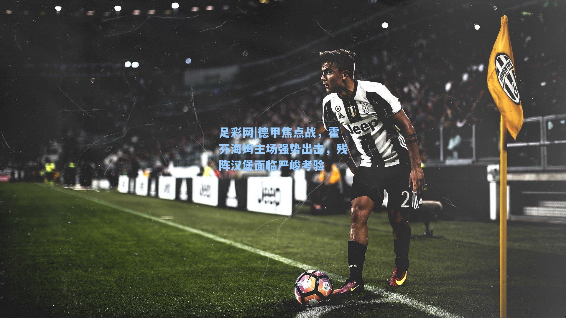 德甲焦点战，霍芬海姆主场强势出击，残阵汉堡面临严峻考验