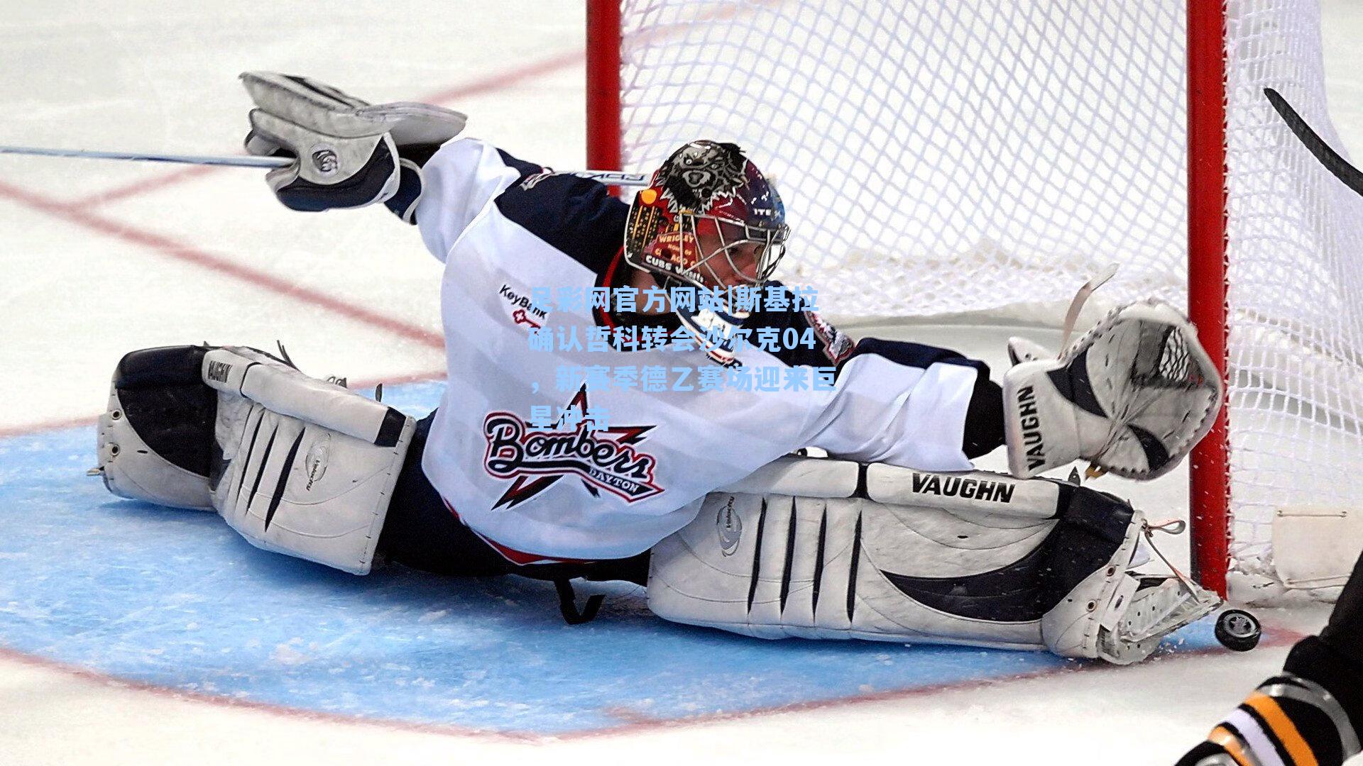 斯基拉确认哲科转会沙尔克04，新赛季德乙赛场迎来巨星冲击